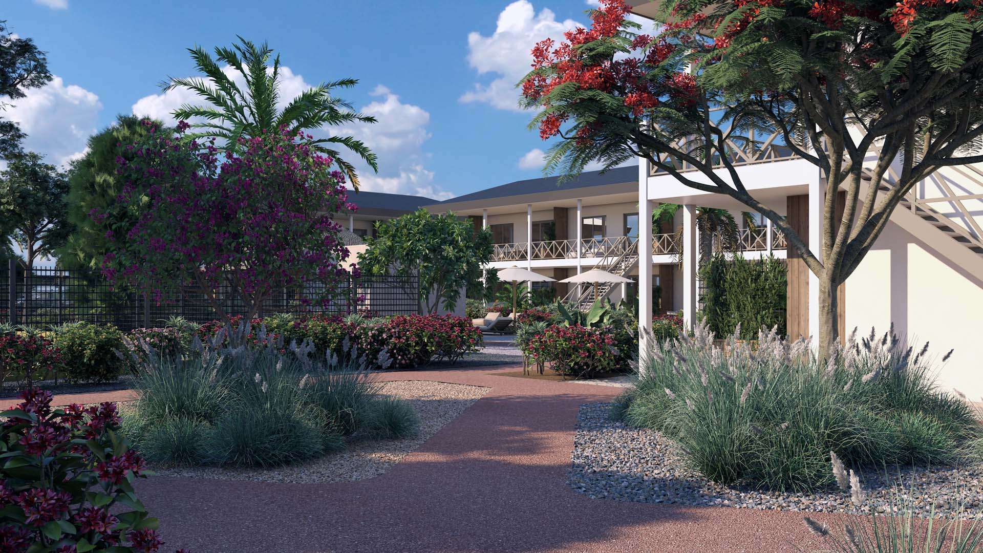 Garden and pool